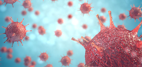 HeaderPatientEducation